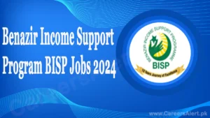 benazir income support program bisp thumbnail