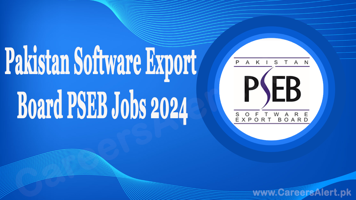 pakistan software export board pseb thumbnail