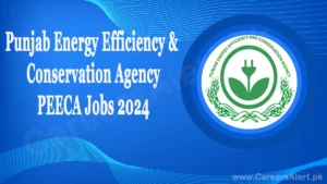 punjab-energy-efficiency-conservation-agency-peeca-thumbnail