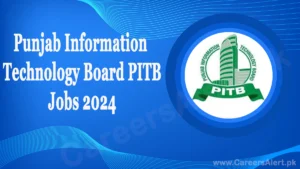 punjab-information-technology-board-pitb-thumbnail