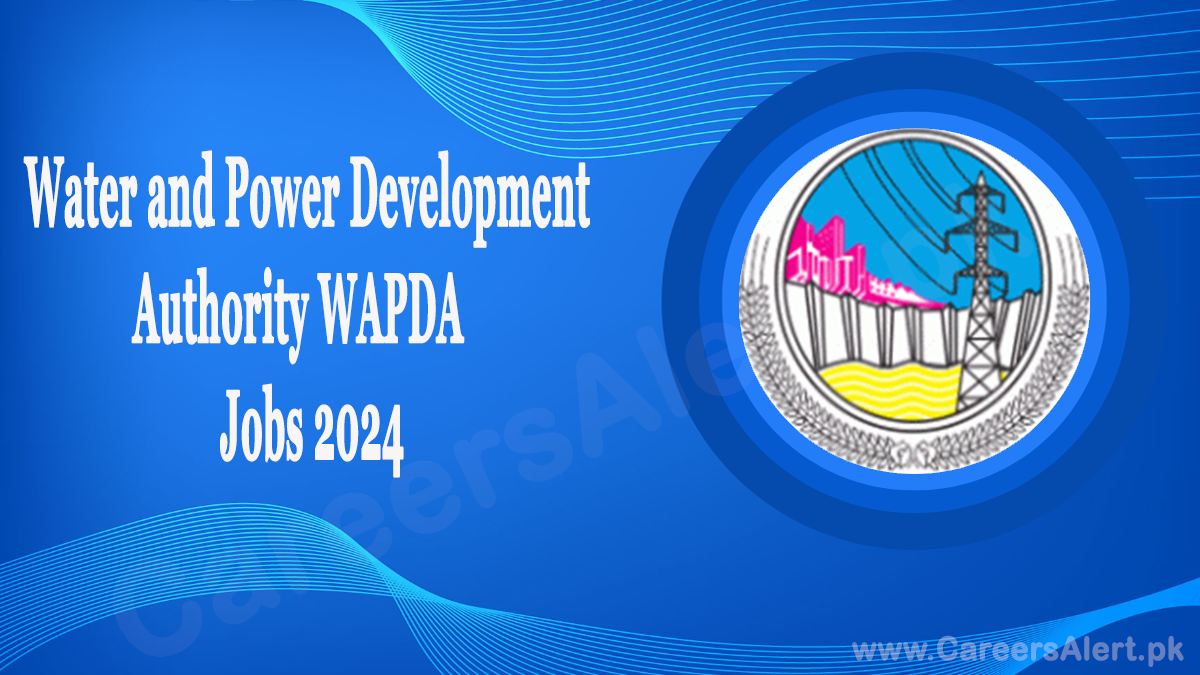 water-and-power-development-authority-wapda-thumbnail