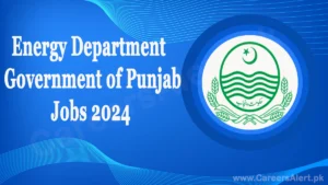 energy department punjab thumbnail