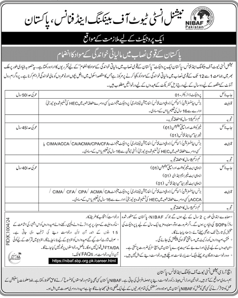 national institute of banking & finance jobs