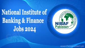 national institute of banking finance thumbnail