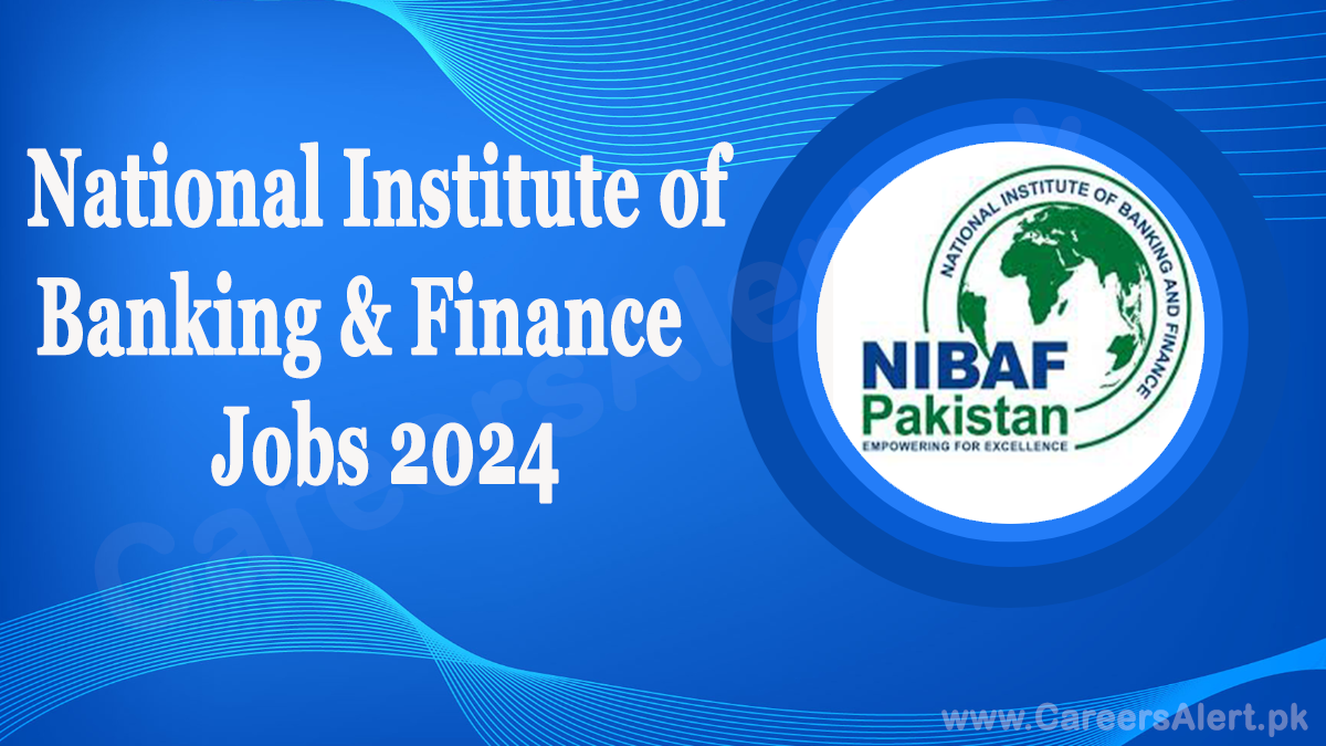 national institute of banking finance thumbnail