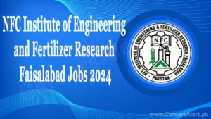 nfc institute of engineering and fertilizer research faisalabad thumbnail