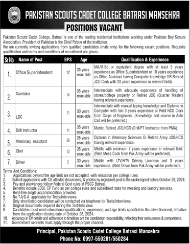 pakistan scouts cadet college batrasi jobs