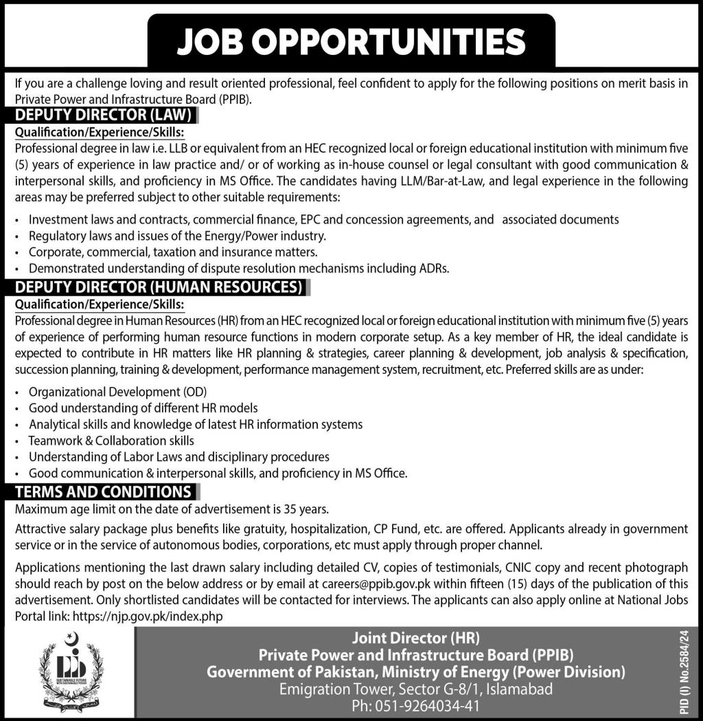 private power and infrastructure board ppib jobs