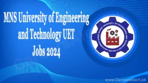 mns university of engineering and technology uet thumbnail