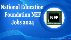 national education foundation nef thumbnail