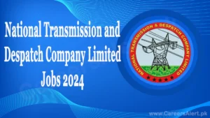 national transmission and despatch company limited thumbnail