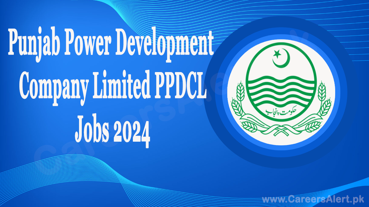 punjab power development company limited ppdcl thumbnail