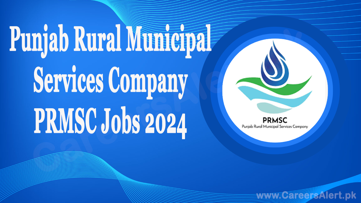 punjab rural municipal services company prmsc thumbnail